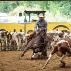 $15 000Ltd Amateur Reserve Champion RUMER...