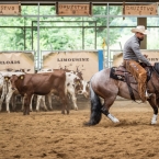 $50 000Ltd Amateur Champion RUMER HAZ IT -...