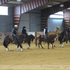 Stallions of Silverstone Ranch