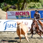 NCHA $5.000 Novice Horse Champion Marek...