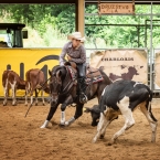 Open Reserve Champion DUAL REY TR - rider...