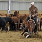 Silverstone Western Cup 2016 - Cutting High...