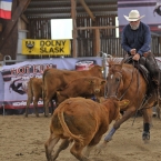 Silverstone Western Cup 2016 - NCHA $25,000...