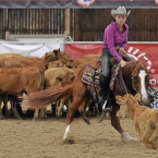 Silverstone Western Cup 2016 - NCHA $25,000...