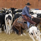 Silverstone Western Cup 2016 - NCHA $25,000...