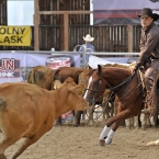 Silverstone Western Cup 2016 - NCHA $5,000...