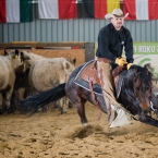 Silverstone Western Cup 2016 - NCHA $5,000...