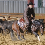 Silverstone Western Cup 2016 - NCHA $5,000...