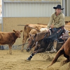 Silverstone Western Cup 2016 - NCHA $5,000...