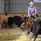 Silverstone Western Cup 2016 - NCHA Non-Pro...