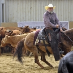 Silverstone Western Cup 2016 -NCHA Open 3rd...