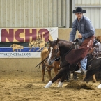 Silverstone Western Cup 2016 - NCHA Open...