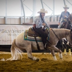 Silverstone Western Cup 2016 - NCHA Youth...