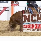 web NCHA Europe